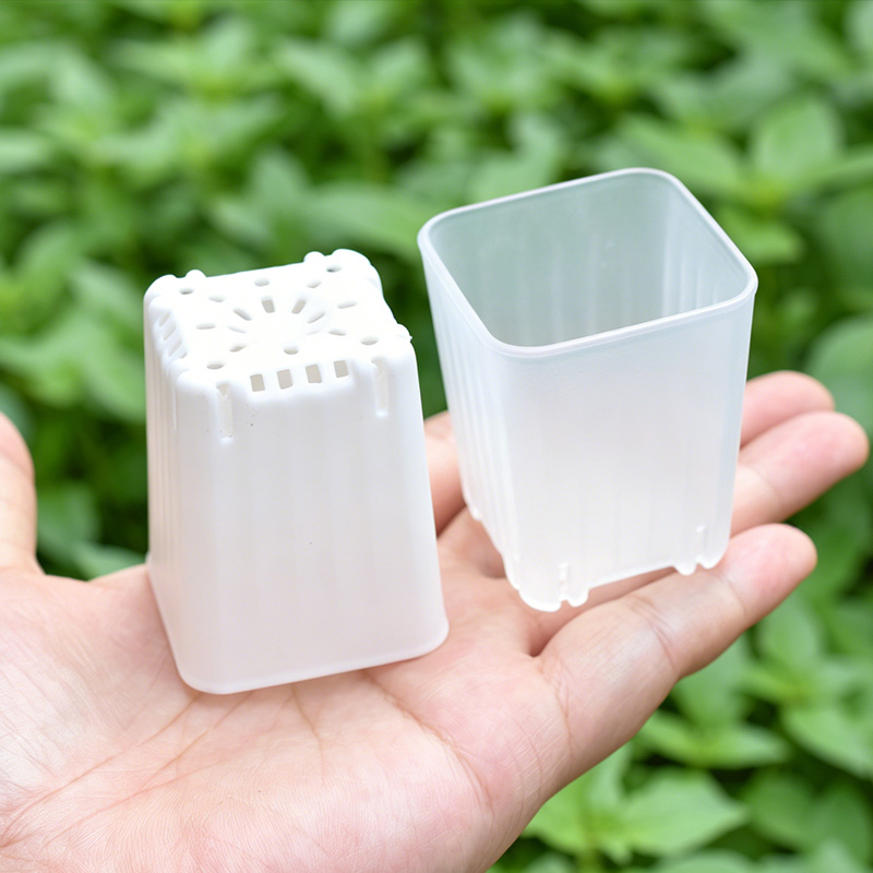 Food Storage Plants - 50-100 Peças de Mini Vasos Quadrados