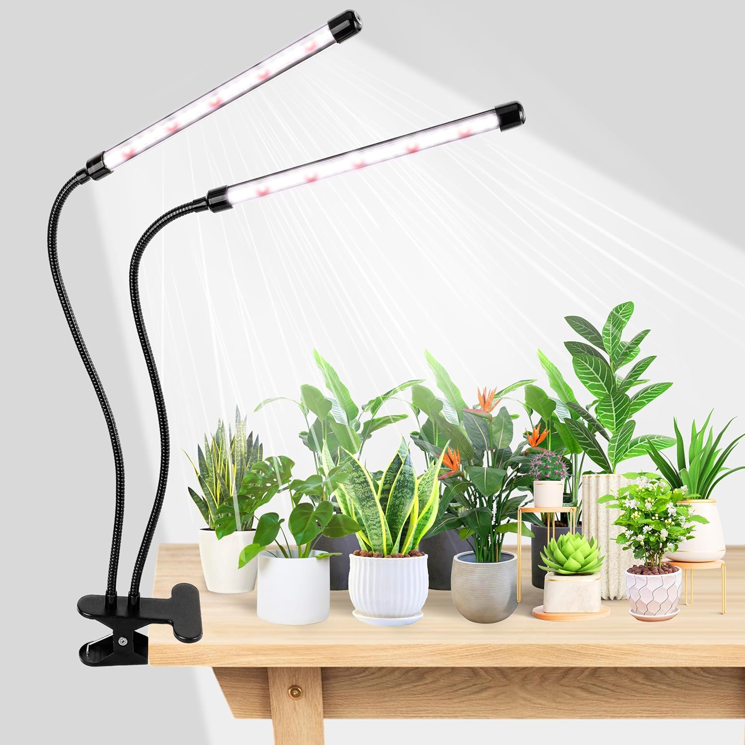 Food Storage Plants - KEBINCPLED Luz LED de Crescimento para