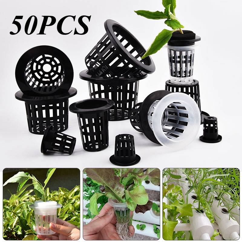 Food Storage Plants - 50 Peças de Vasos de Cultivo