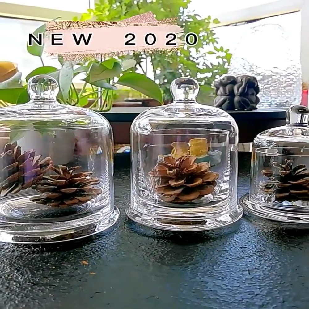 Food Storage Plants - Pote de Vidro para Armazenamento, Flor