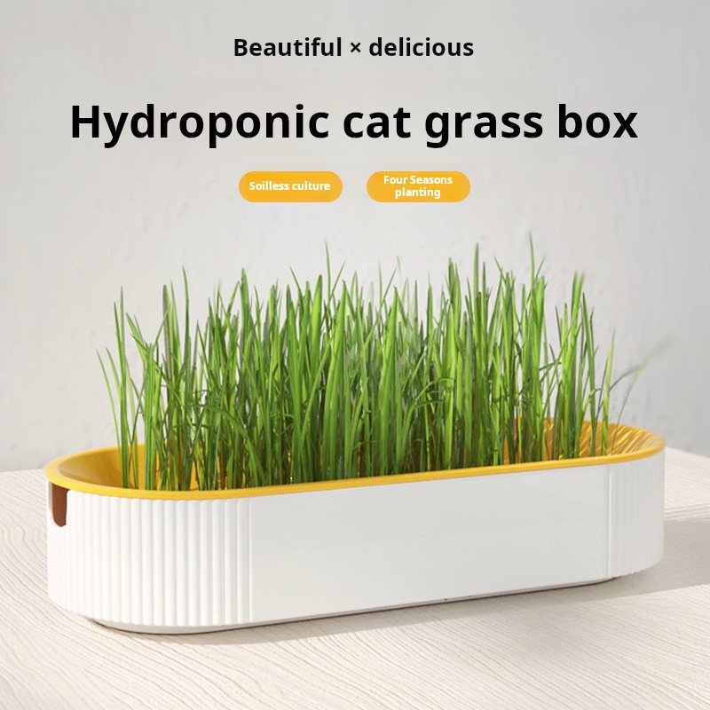 Kit Hidropônico de Grama para  - Food Storage Plants avaliação e preço