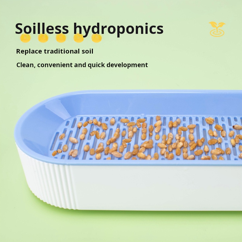 Kit Hidropônico de Grama para  - Food Storage Plants avaliação e preço
