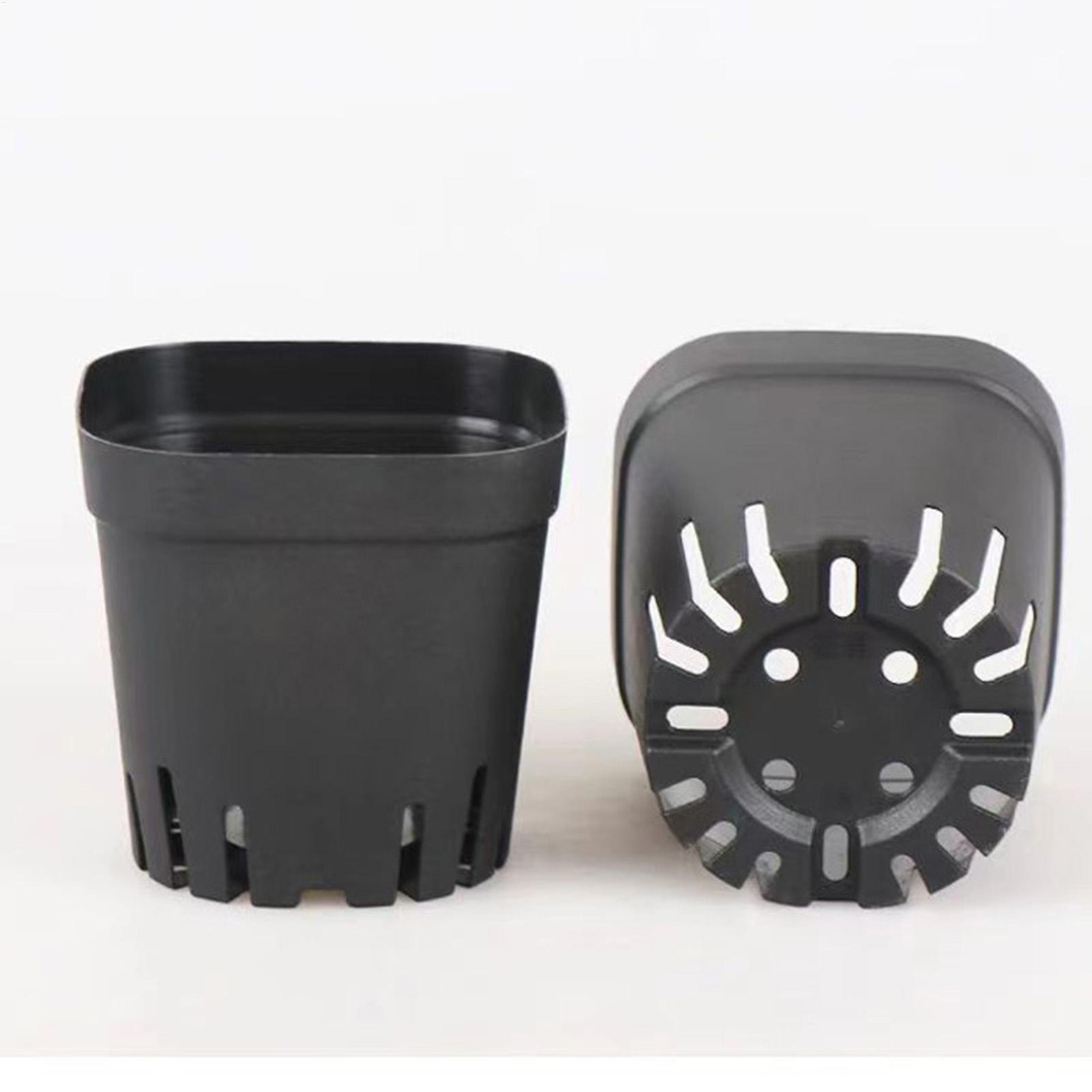 Vasos de Início de 5,5cm/7cm/1 - Food Storage Plants avaliação e preço