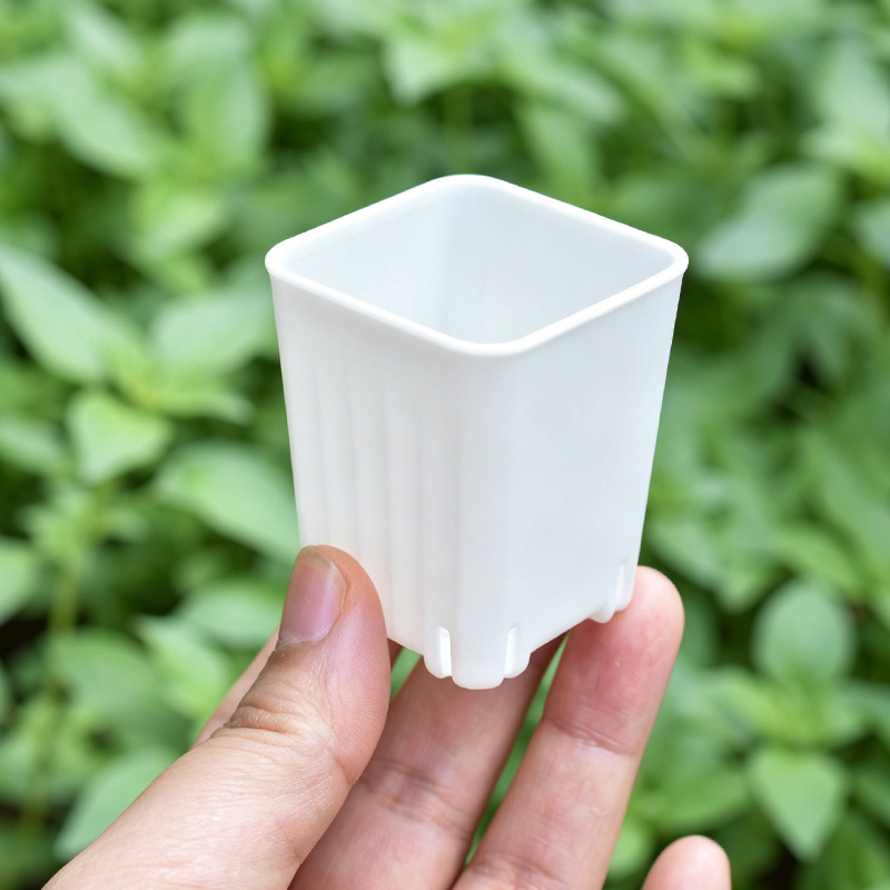 50-100 Peças de Mini Vasos Qua - Food Storage Plants avaliação e preço