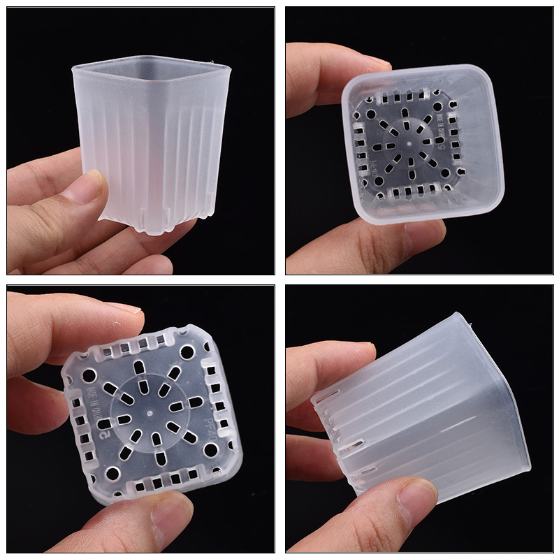 50-100 Peças de Mini Vasos Qua - Food Storage Plants avaliação e preço