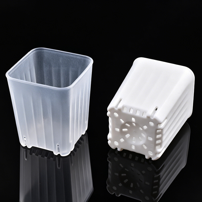 50-100 Peças de Mini Vasos Qua - Food Storage Plants avaliação e preço