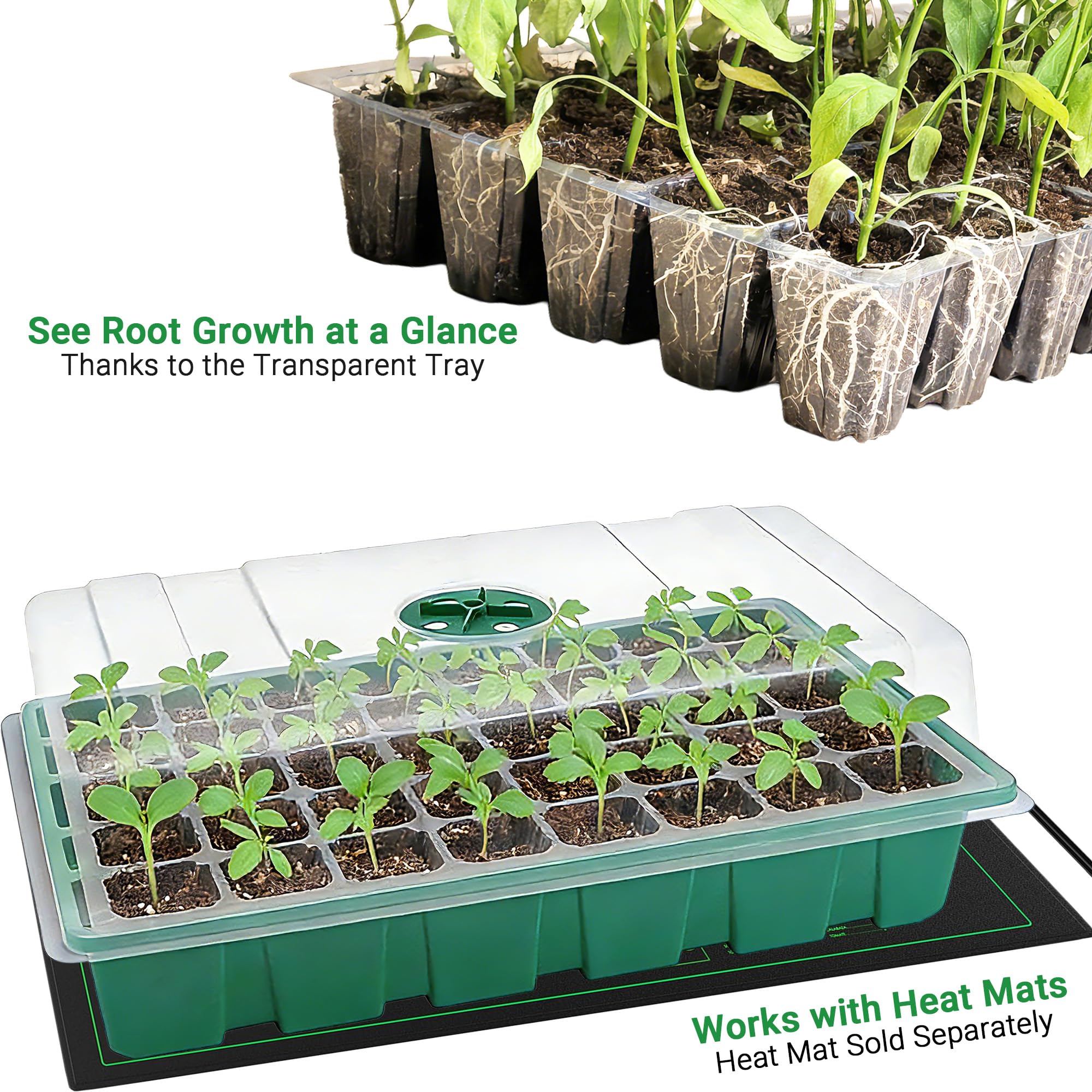 Estufa com Tampa Transparente  - Food Storage Plants avaliação e preço