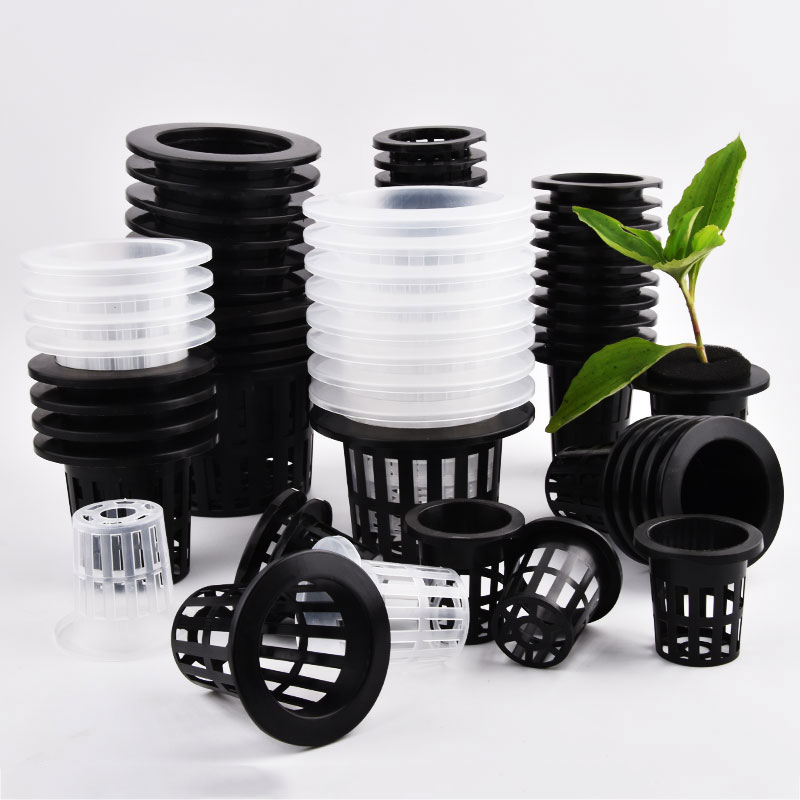 50 Peças de Vasos de Cultivo e - Food Storage Plants avaliação e preço