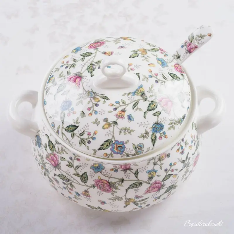 9 Polegada, barraca de porcela - Food Storage Plants avaliação e preço